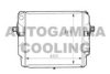 AUTOGAMMA 101084 Radiator, engine cooling